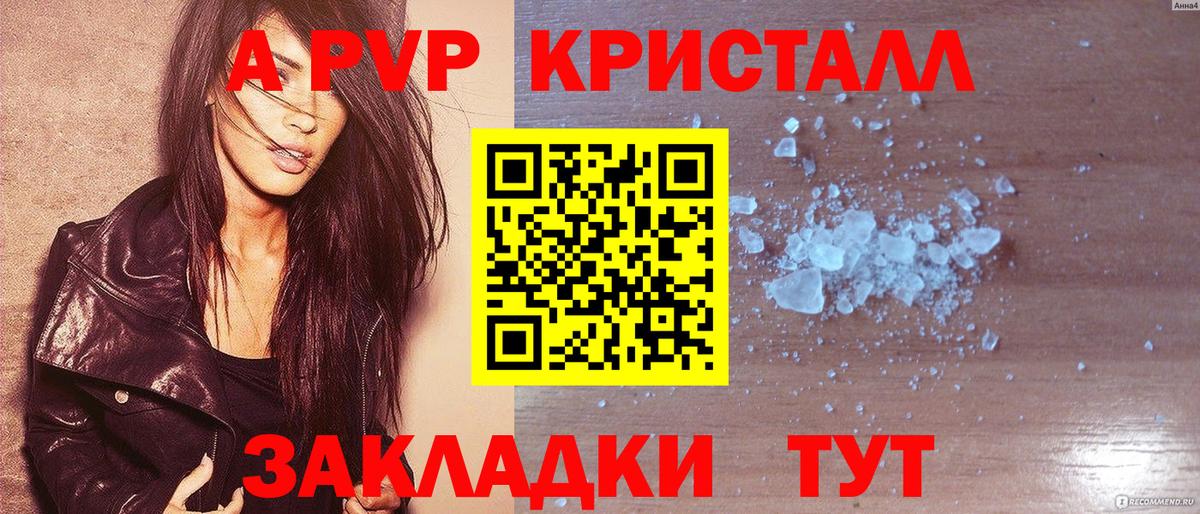 A-PVP СК Великий Новгород