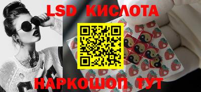 дмт Бийск