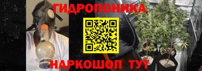 дмт Бийск