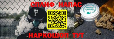 дмт Бийск