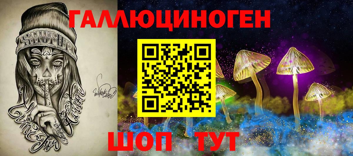 Псилоцибиновые грибы мицелий Великий Новгород
