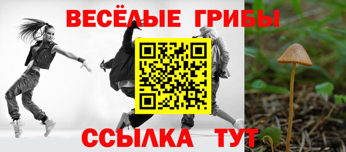 продажа наркотиков  Вход с VPN  Великий Новгород  Галлюциногенные грибы MAGIC MUSHROOMS 